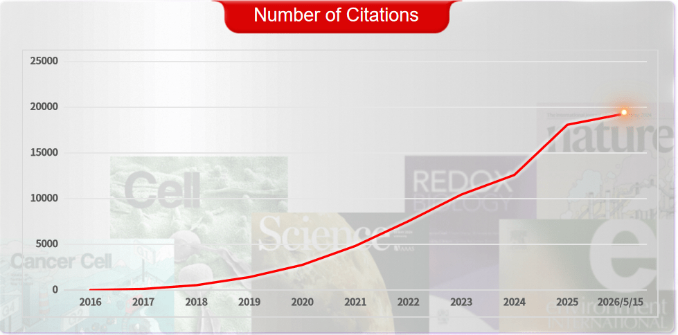 Number of Product References by Absin