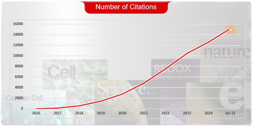Number of Product References by Absin