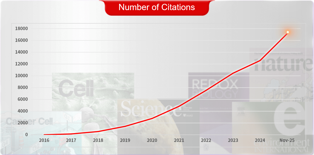 Number of Product References by Absin