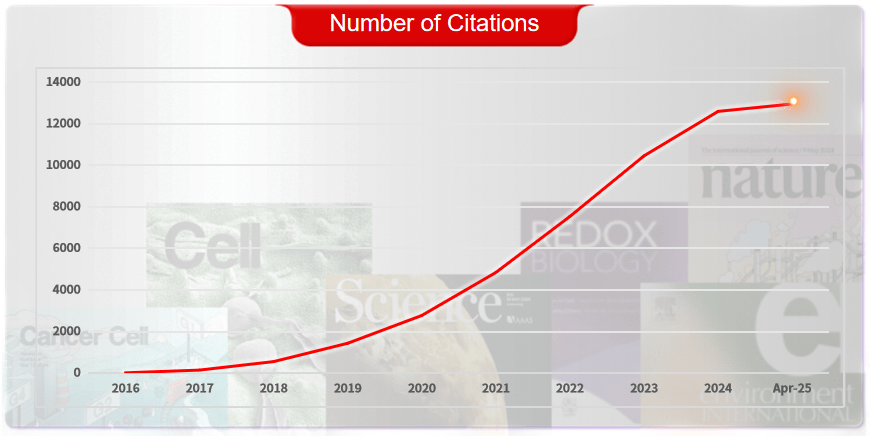 Number of Product References by Absin